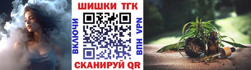 ГАШ Александровск